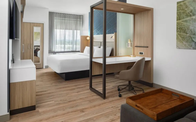 Springhill Suites By Marriott Roanoke North