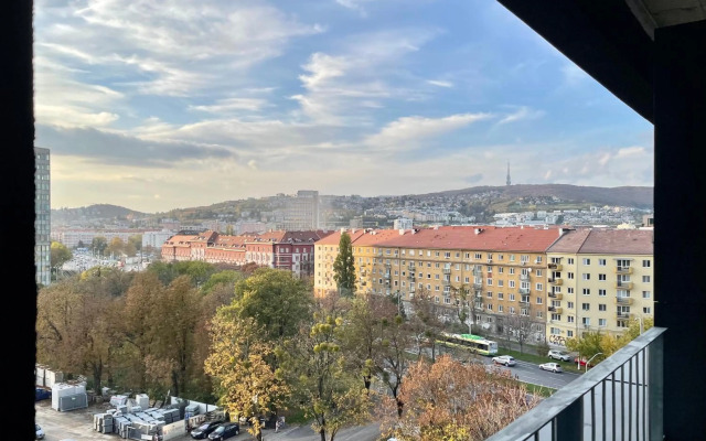 Top Kamzik Tower View