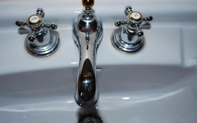 Grüne Idylle im Dresdener Süden