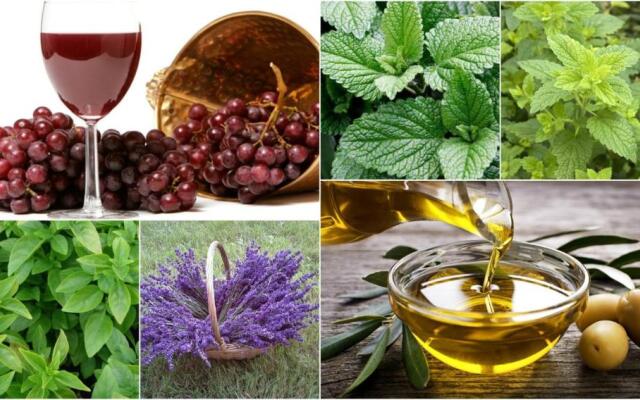 Kladas House Xanthates Corfu