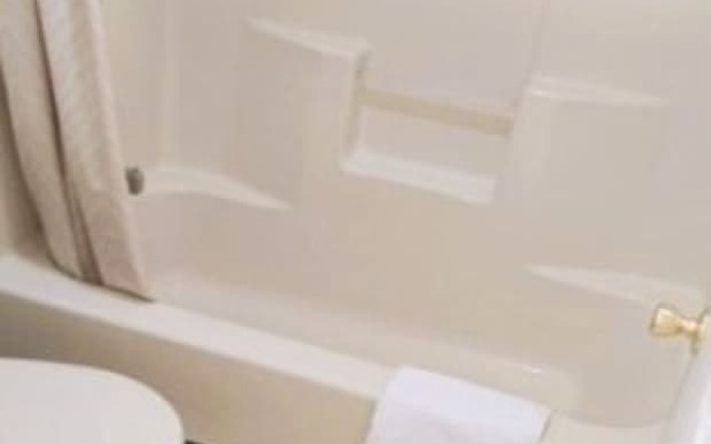 OYO Hotel McIntyre GA, US 441