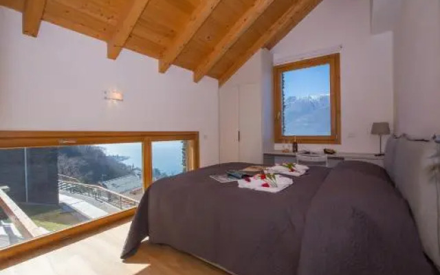 Riva Bellano Camelia