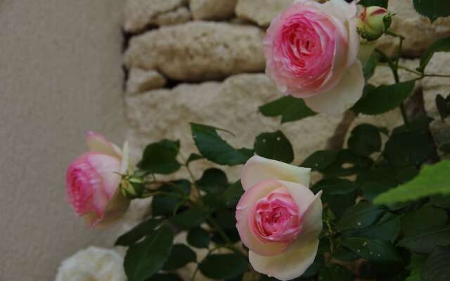 Bastide Des Jardins