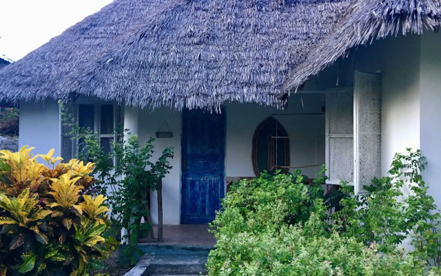 Driftwood Beach Lodge