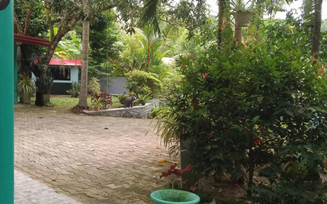 Midigama Home Stay