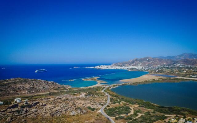 Naxos Palace Hotel