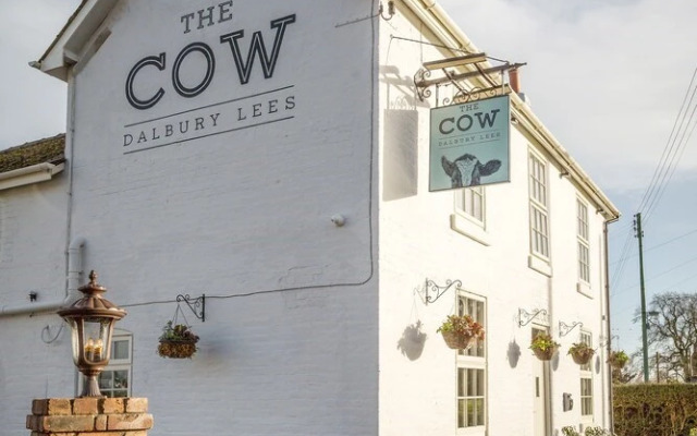 The Cow Dalbury