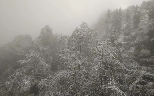 Hotel Himalaya Residency kanchenjunga view