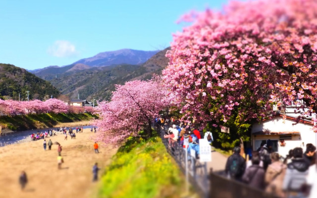 Ito Kowakien