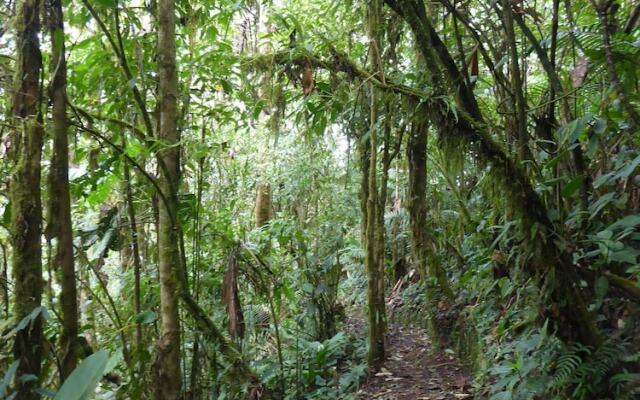 Santa Lucia Ecolodge