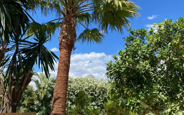 Tulum house - in Nueva Andalucia - amazing la concha mountain view