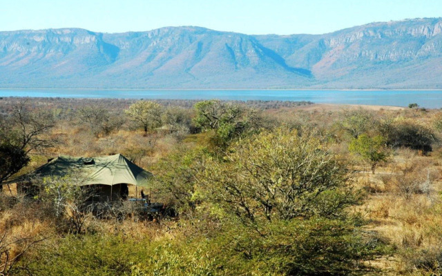 Africamps at White Elephant Safaris
