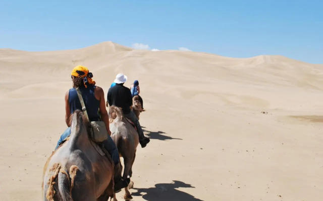 Golden Gobi Guesthouse & Tour