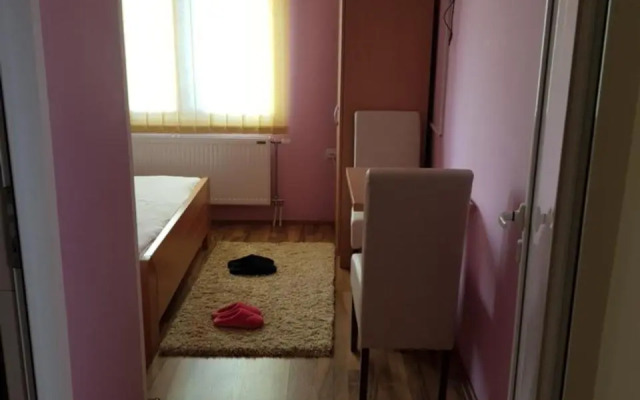 Guest House Lisinski Raj