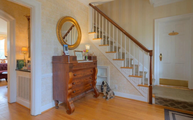 Nesselrod on the New