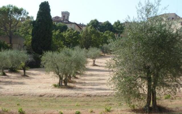 Campo Agli Olivi