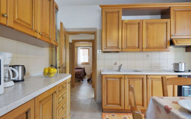 Ciasa Pettena (PFS250)