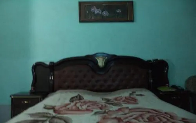 Hotel Viren International