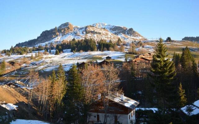 Appartement Le Grand-Bornand, 1 pièce, 4 personnes - FR-1-241-107