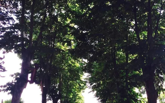 Agriturismo Podere Luciano