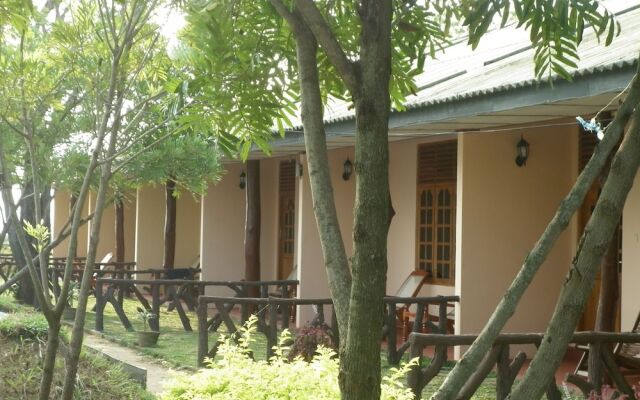 Wila Safari