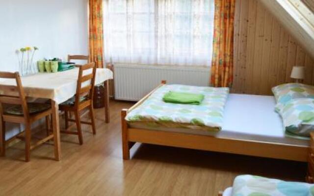 Pokoje Gościnne Arnika Górska