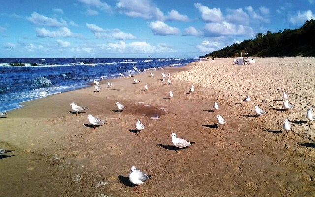 Beautiful Apartment in Pobierowo With 1 Bedrooms