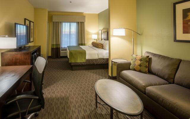 Best Western Plus Duncanville/Dallas