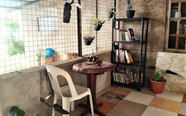 Tribuhaus Backpackers Inn