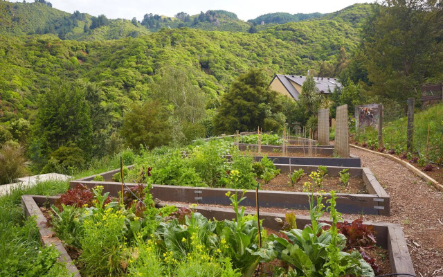 The Resurgence Luxury Eco Lodge