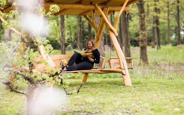 Modern chalet with a dishwasher, located in Park De Veluwe