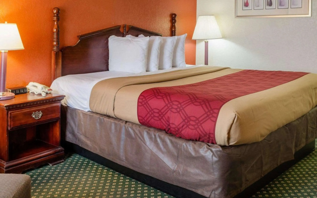 Econo Lodge Inn & Suites Philadelphia MS