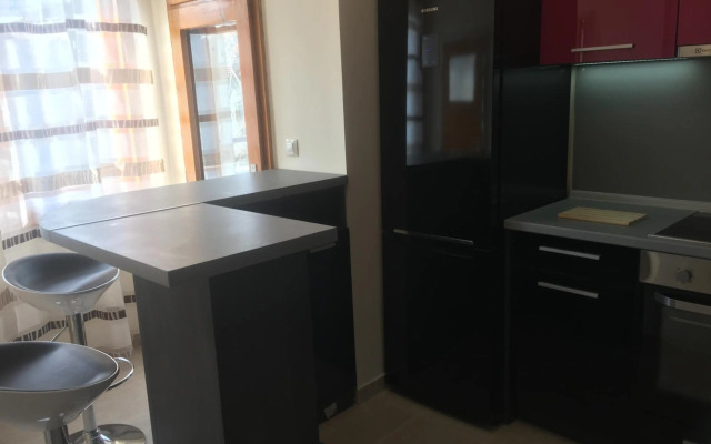 Stylish spacious flat