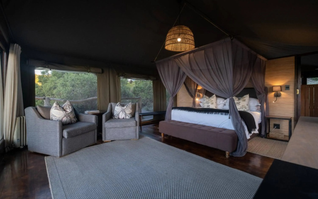 HillsNek Safari Camp - Amakhala Game Reserve