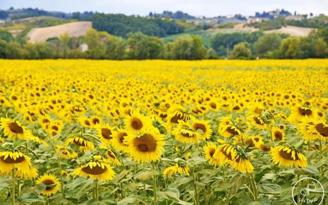 Agriturismo Tre Madonne