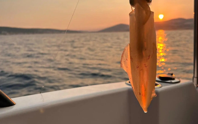 Vila Rovci Apartman 2