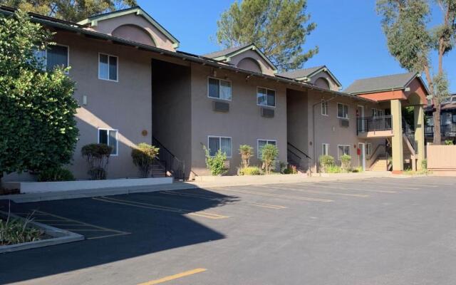 Olive Tree inn & Suites