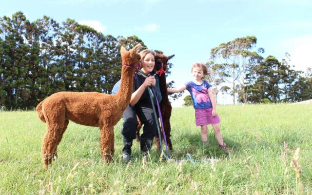 Pukeatua Farmstay