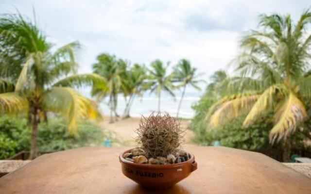 Beach Front Vieques Apartment & Beach