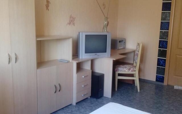 Apartment on Michurina