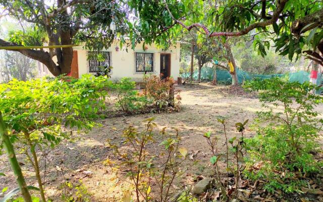 River Bird (Dalvi's Farm Tourism)