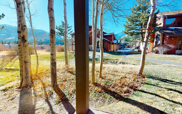 Snowcreek III #415 Condo