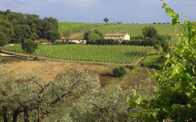 Agriturismo Gli Olmi
