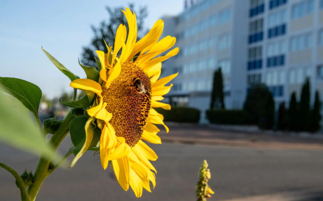 [Bee]Village Messehotel Hannover-Laatzen.