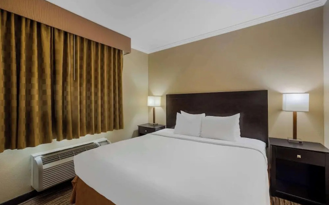 Comfort Inn North