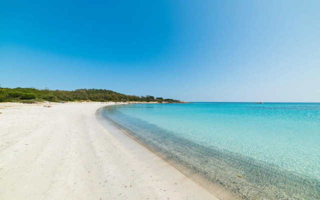 San Teodoro (Apt. 561646)