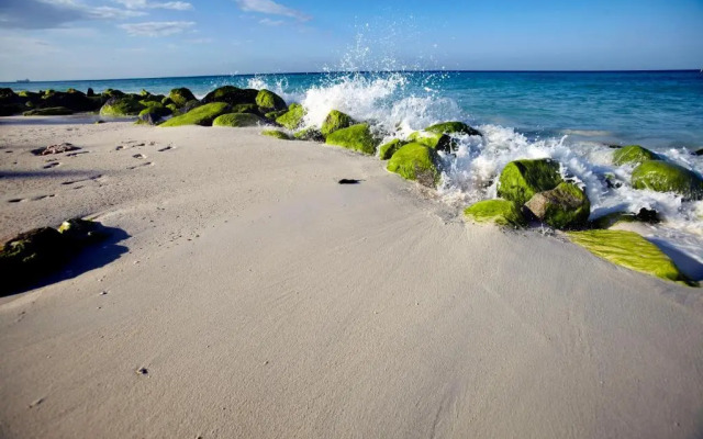 Villa Bougainvillea Aruba Rumba Suite