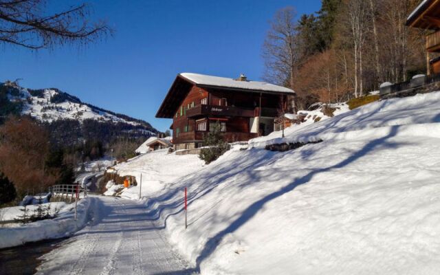 Chalet Helene Wengen 22724