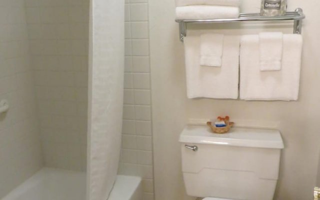 Executive Inn and Suites