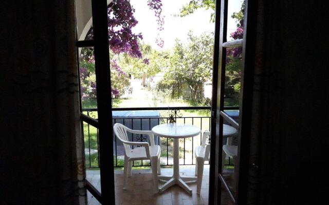 Studios Dimitris